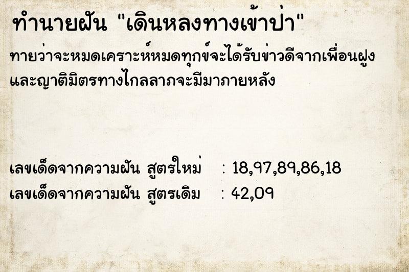 ทำนายฝันเดินหลงทางเข้าป่า ทำนายฝันทำนายฝันเดินหลงทางเข้าป่า