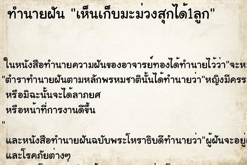 ทำนายฝัน เห็นเก็บมะม่วงสุกได้1ลูก ทำนายฝัน เห็นเก็บมะม่วงสุกได้1ลูก