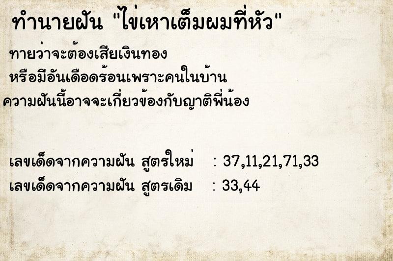 ทำนายฝันทำนายฝันไข่เหาเต็มผมที่หัว