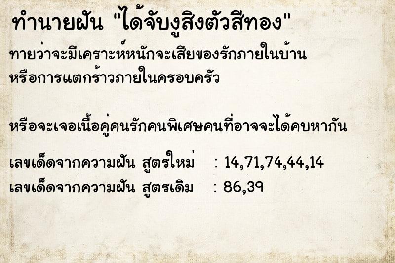 ทำนายฝันทำนายฝันได้จับงูสิงตัวสีทอง