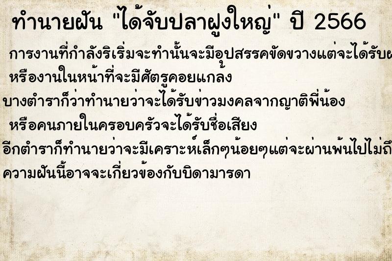 ทำนายฝันทำนายฝันได้จับปลาฝูงใหญ่