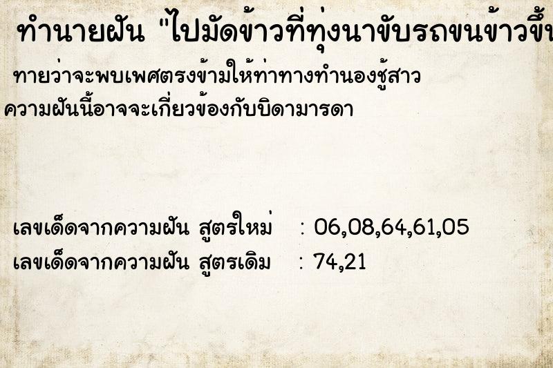 ทำนายฝันไปมัดข้าวที่ทุ่งนาขับรถขนข้าวขึ้นรถ ทำนายฝันทำนายฝันไปมัดข้าวที่ทุ่งนาขับรถขนข้าวขึ้นรถ