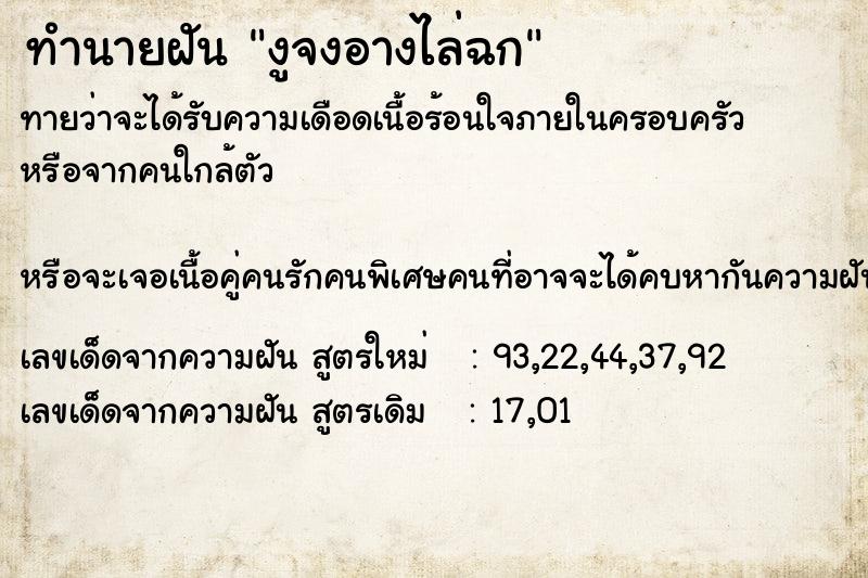 ทำนายฝัน งูจงอางไล่ฉก ทำนายฝัน งูจงอางไล่ฉก