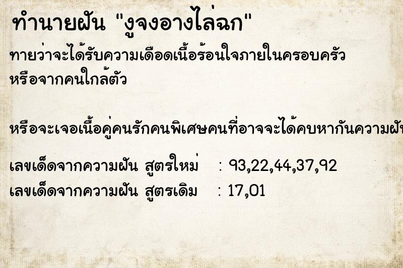 ทำนายฝัน งูจงอางไล่ฉก ตำราโบราณ แม่นที่สุดในโลก