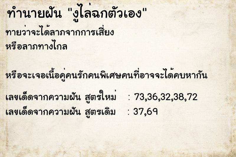 ทำนายฝันงูไล่ฉกตัวเอง ทำนายฝันทำนายฝันงูไล่ฉกตัวเอง