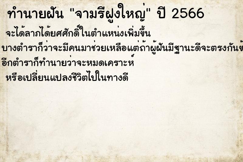 ทำนายฝันจามรีฝูงใหญ่ ทำนายฝันทำนายฝันจามรีฝูงใหญ่