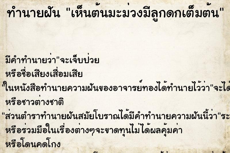 ทำนายฝัน เห็นต้นมะม่วงมีลูกดกเต็มต้น ตำราโบราณ แม่นที่สุดในโลก