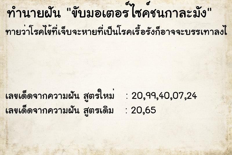 ทำนายฝันขับมอเตอร์ไซค์ชนกาละมัง ทำนายฝันทำนายฝันขับมอเตอร์ไซค์ชนกาละมัง