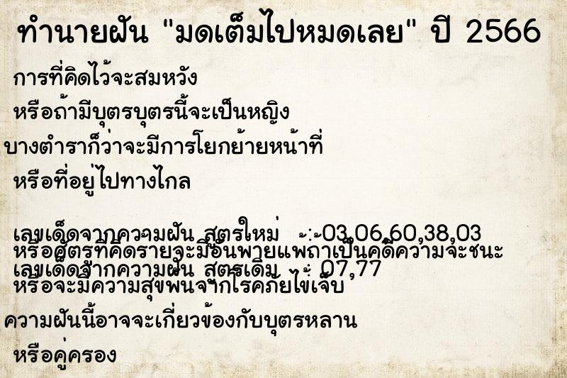 ทำนายฝัน มดเต็มไปหมดเลย ทำนายฝัน มดเต็มไปหมดเลย