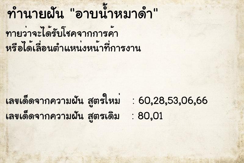ทำนายฝันอาบน้ำหมาดำ ทำนายฝันทำนายฝันอาบน้ำหมาดำ