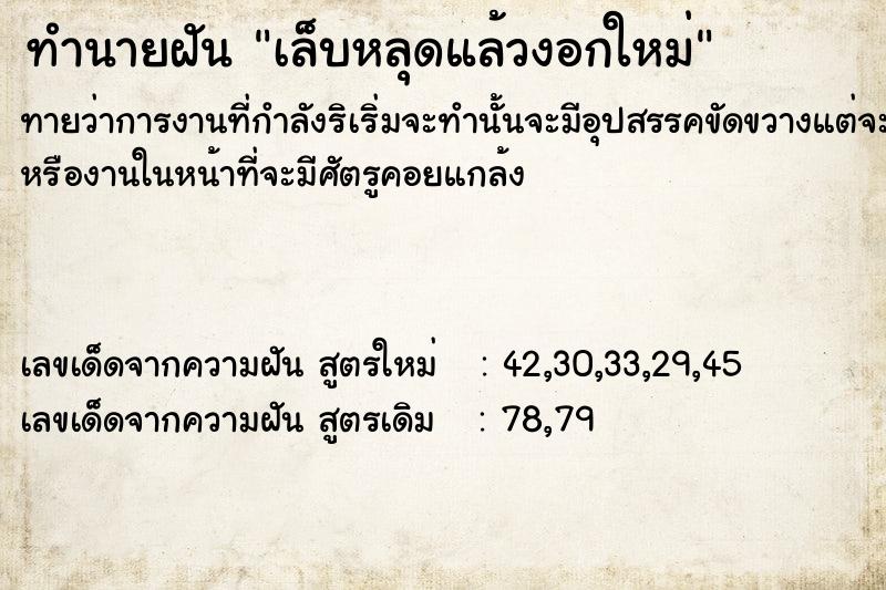 ทำนายฝันเล็บหลุดแล้วงอกใหม่ ทำนายฝันทำนายฝันเล็บหลุดแล้วงอกใหม่