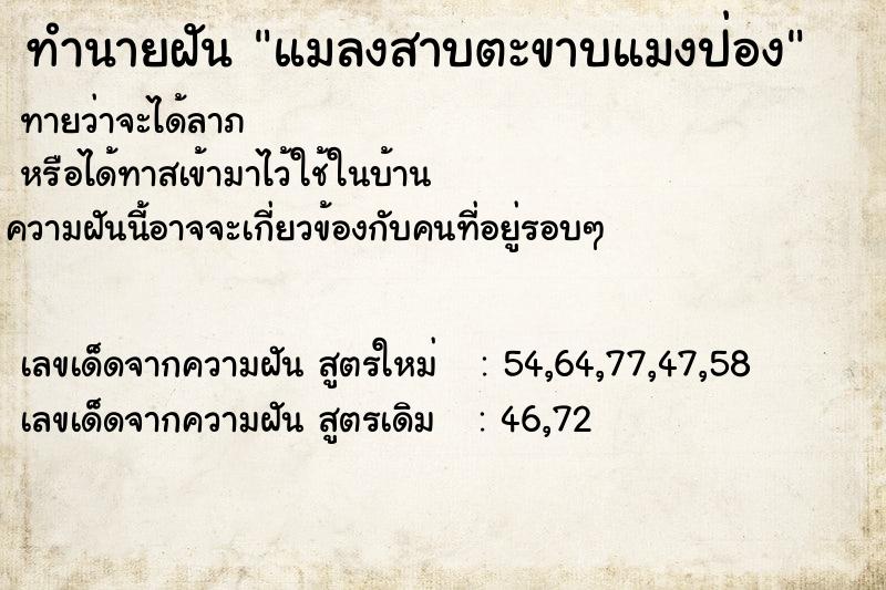 ทำนายฝันทำนายฝันแมลงสาบตะขาบแมงป่อง