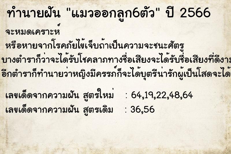 ทำนายฝัน แมวออกลูก6ตัว ตำราโบราณ แม่นที่สุดในโลก