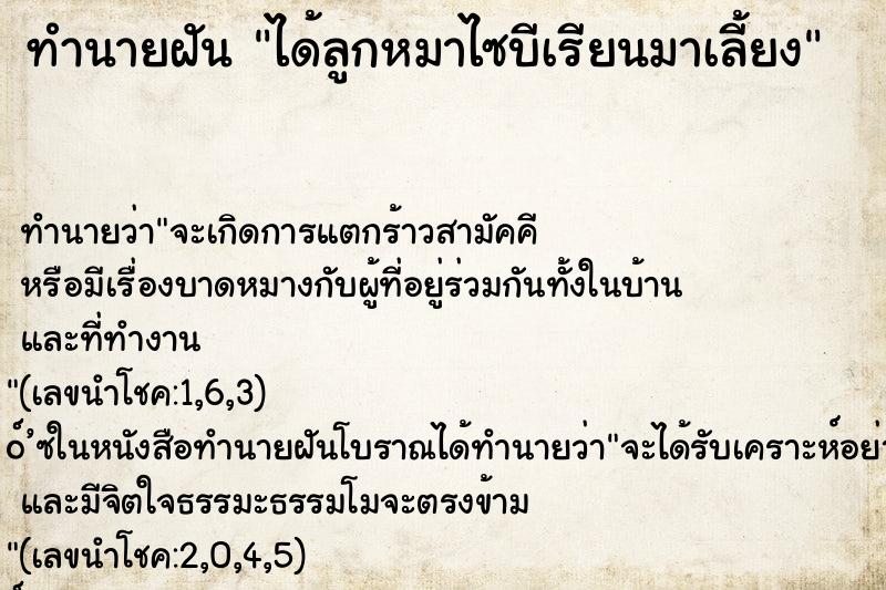 ทำนายฝัน ได้ลูกหมาไซบีเรียนมาเลี้ยง