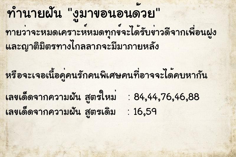 ทำนายฝันทำนายฝันงูมาขอนอนด้วย