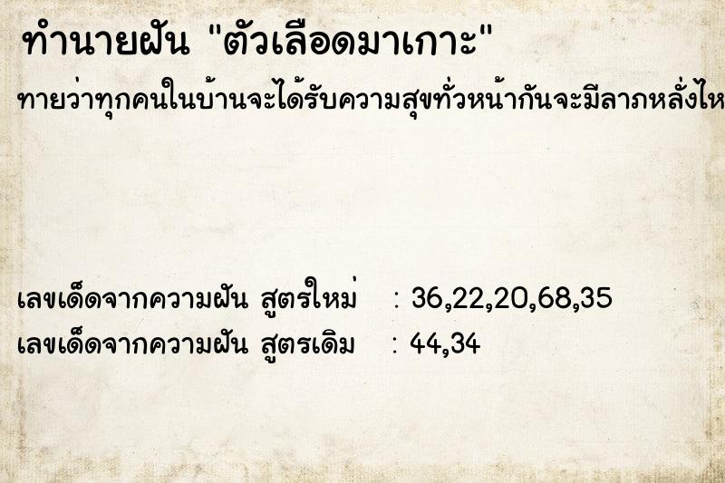 ทำนายฝันตัวเลือดมาเกาะ ทำนายฝันทำนายฝันตัวเลือดมาเกาะ