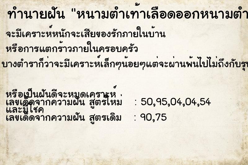 ทำนายฝัน หนามตำเท้าเลือดออกหนามตำเท้าข้างขวาเลือดออก ทำนายฝัน หนามตำเท้าเลือดออกหนามตำเท้าข้างขวาเลือดออก