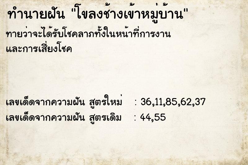 ทำนายฝัน โขลงช้างเข้าหมู่บ้าน