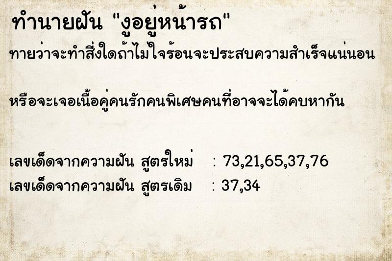 ทำนายฝันงูอยู่หน้ารถ ทำนายฝันทำนายฝันงูอยู่หน้ารถ