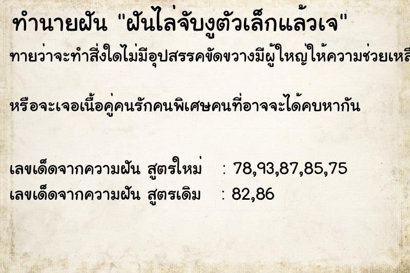 ทำนายฝันฝันไล่จับงูตัวเล็กแล้วเจ ทำนายฝันทำนายฝันฝันไล่จับงูตัวเล็กแล้วเจ