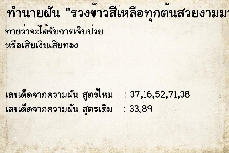 ทำนายฝันรวงข้าวสีเหลือทุกต้นสวยงามมาก ทำนายฝันทำนายฝันรวงข้าวสีเหลือทุกต้นสวยงามมาก