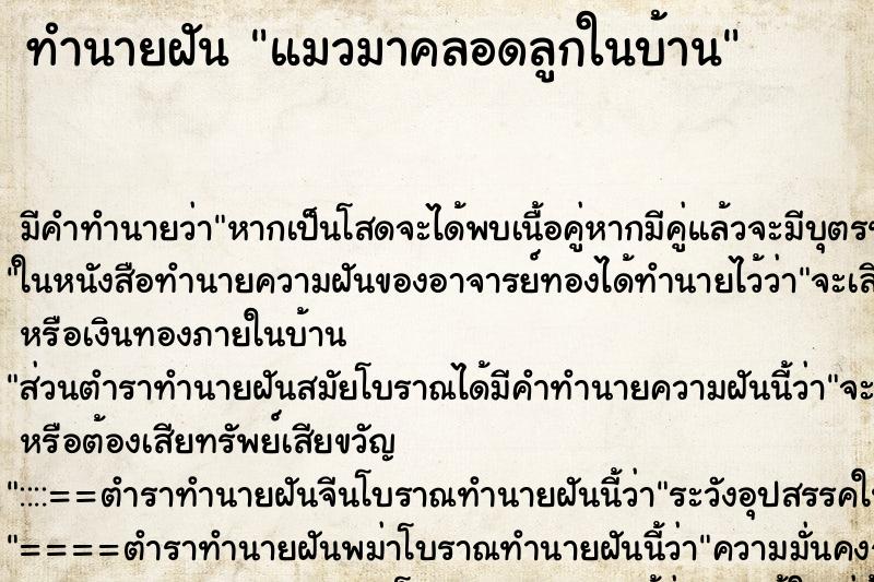 ทำนายฝันทำนายฝันแมวมาคลอดลูกในบ้าน