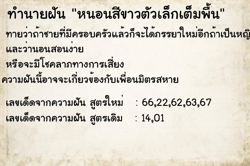 ทำนายฝันทำนายฝันหนอนสีขาวตัวเล็กเต็มพื้น