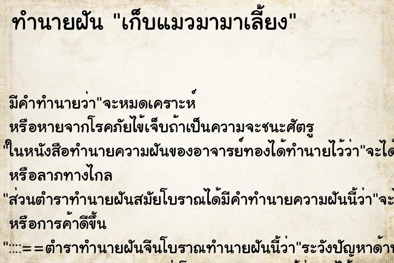 ทำนายฝันเก็บแมวมามาเลี้ยง ทำนายฝันทำนายฝันเก็บแมวมามาเลี้ยง