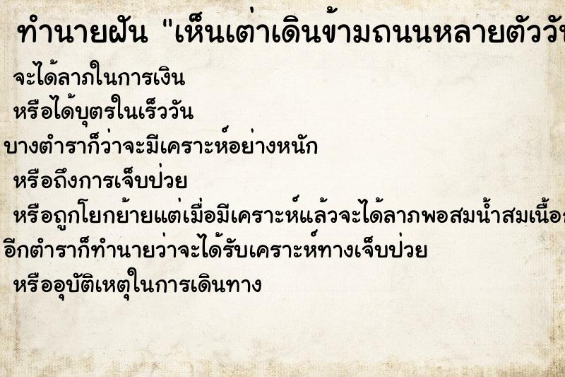 ทำนายฝัน เห็นเต่าเดินข้ามถนนหลายตัววัน แม่นๆ ฟรี ด้วยตำราหนังสือทำนายฝันโบราณ ทำนายฝันเห็นเต่าเดินข้ามถนนหลายตัววัน