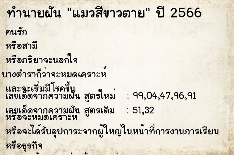ทำนายฝัน แมวสีขาวตาย แม่นๆ ฟรี ด้วยตำราหนังสือทำนายฝันโบราณ ทำนายฝันแมวสีขาวตาย