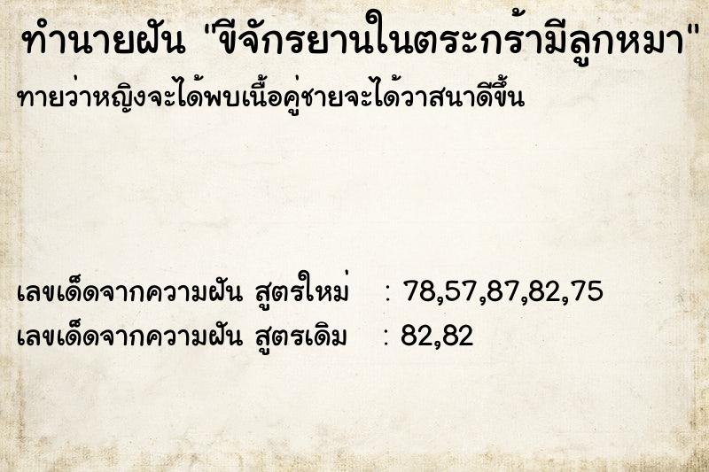 ทำนายฝันทำนายฝันขีจักรยานในตระกร้ามีลูกหมา