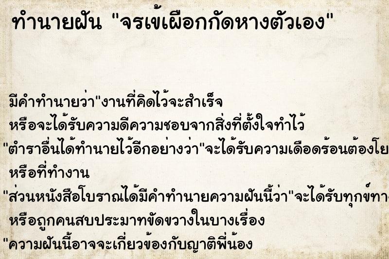 ทำนายฝันจรเข้เผือกกัดหางตัวเอง ทำนายฝันทำนายฝันจรเข้เผือกกัดหางตัวเอง