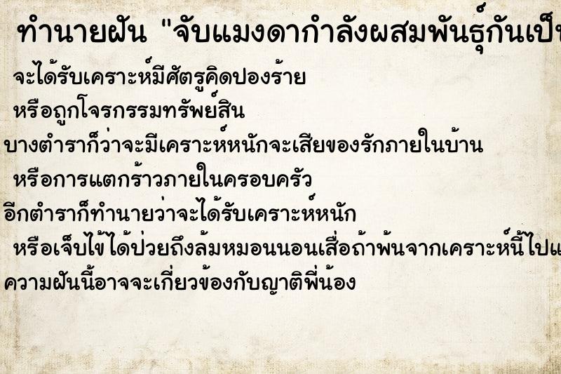 ทำนายฝันจับแมงดากำลังผสมพันธุ์กันเป็นคู่ใส่ถุงพลาสติก ทำนายฝันทำนายฝันจับแมงดากำลังผสมพันธุ์กันเป็นคู่ใส่ถุงพลาสติก