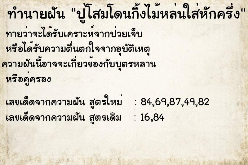 ทำนายฝันทำนายฝันปู่โสมโดนกิ้งไม้หล่นใส่หักครึ่ง