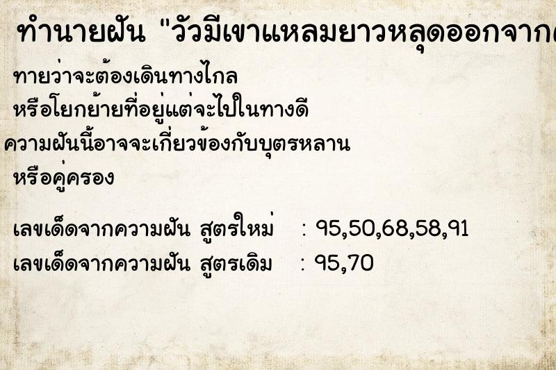 ทำนายฝัน วัวมีเขาแหลมยาวหลุดออกจากคอกวิ่งไล่ขวิด