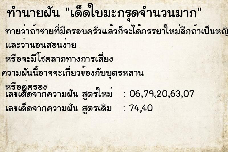 ทำนายฝันเด็ดใบมะกรุดจำนวนมาก ทำนายฝันทำนายฝันเด็ดใบมะกรุดจำนวนมาก
