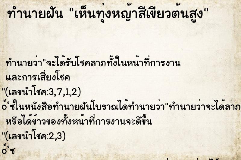 ทำนายฝัน เห็นทุ่งหญ้าสีเขียวต้นสูง ทำนายฝัน เห็นทุ่งหญ้าสีเขียวต้นสูง