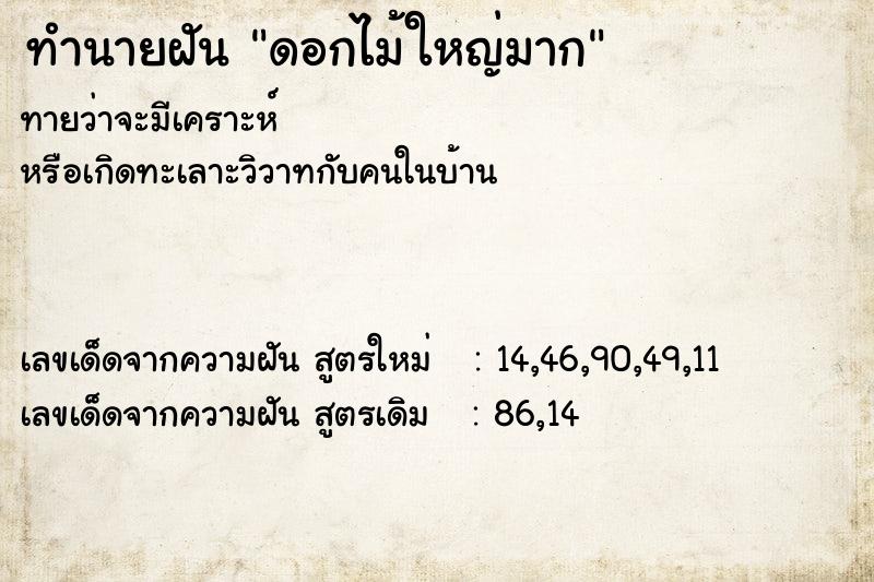 ทำนายฝันดอกไม้ใหญ่มาก ทำนายฝันทำนายฝันดอกไม้ใหญ่มาก