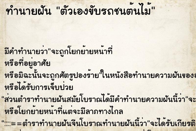 ทำนายฝัน ตัวเองขับรถชนต้นไม้ ทำนายฝัน ตัวเองขับรถชนต้นไม้