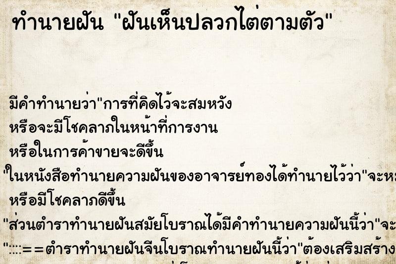 ทำนายฝัน ฝันเห็นปลวกไต่ตามตัว ทำนายฝัน ฝันเห็นปลวกไต่ตามตัว