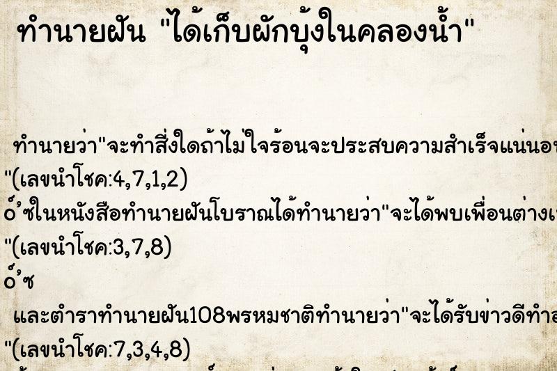 ทำนายฝัน ได้เก็บผักบุ้งในคลองน้ำ ตำราโบราณ แม่นที่สุดในโลก