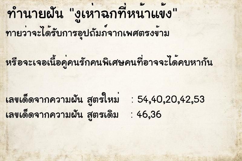 ทำนายฝันงูเห่าฉกที่หน้าแข้ง ทำนายฝันทำนายฝันงูเห่าฉกที่หน้าแข้ง