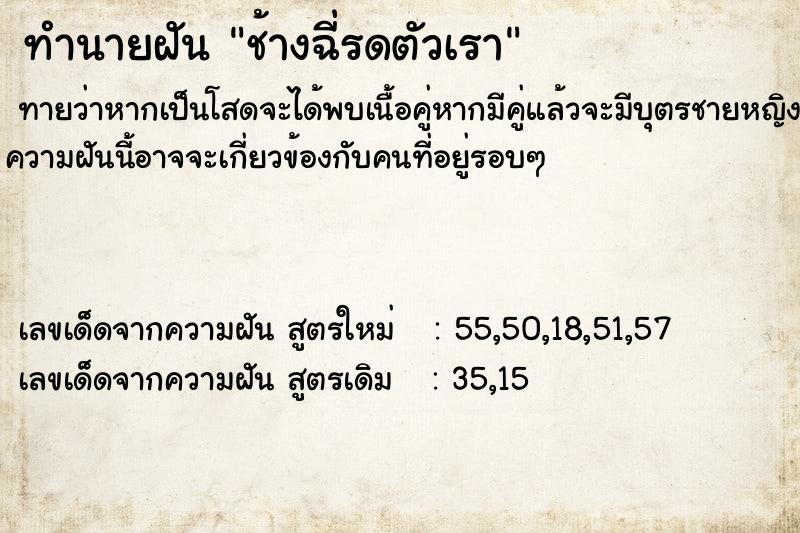 ทำนายฝันช้างฉี่รดตัวเรา ทำนายฝันทำนายฝันช้างฉี่รดตัวเรา