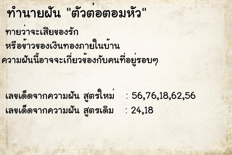 ทำนายฝันตัวต่อตอมหัว ทำนายฝันทำนายฝันตัวต่อตอมหัว