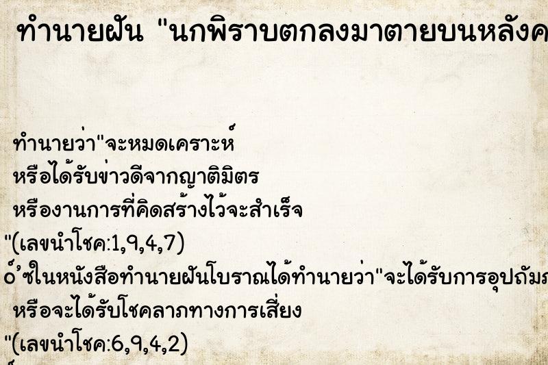 ทำนายฝัน นกพิราบตกลงมาตายบนหลังคารถ ทำนายฝัน นกพิราบตกลงมาตายบนหลังคารถ