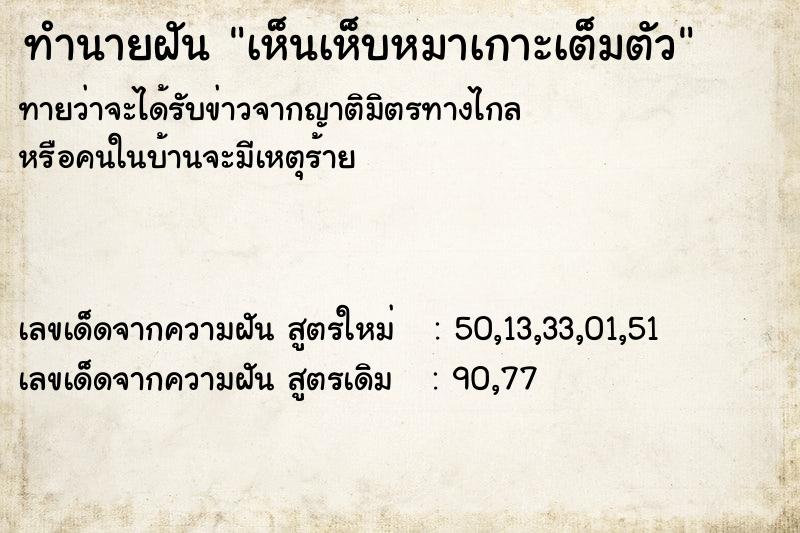 ทำนายฝัน เห็นเห็บหมาเกาะเต็มตัว ทำนายฝัน เห็นเห็บหมาเกาะเต็มตัว