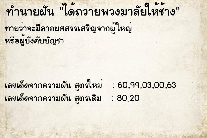 ทำนายฝันทำนายฝันได้ถวายพวงมาลัยให้ช้าง
