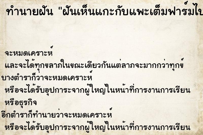 ทำนายฝันทำนายฝันฝันเห็นแกะกับแพะเต็มฟาร์มไปหมด