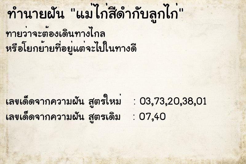 ทำนายฝันแม่ไก่สีดำกับลูกไก่ ทำนายฝันทำนายฝันแม่ไก่สีดำกับลูกไก่