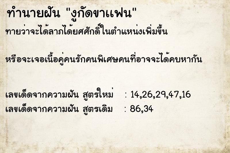 ทำนายฝันงูกัดขาเเฟน ทำนายฝันทำนายฝันงูกัดขาเเฟน